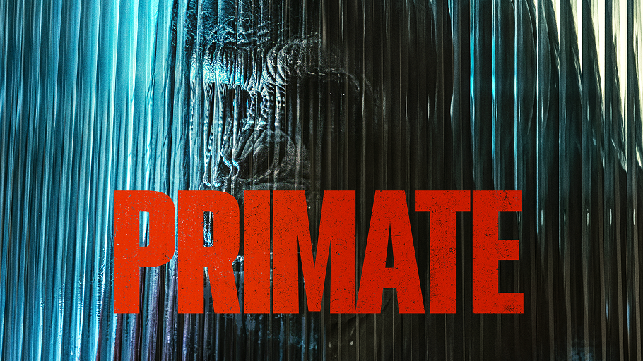 Primate