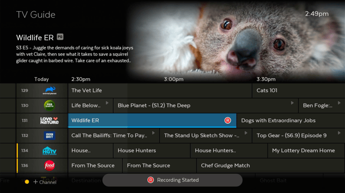 Huge storage to record live TV on Fetch Mighty